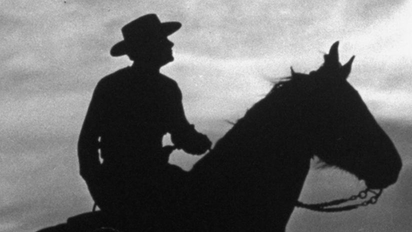 Horse and Cowboy Silhouette